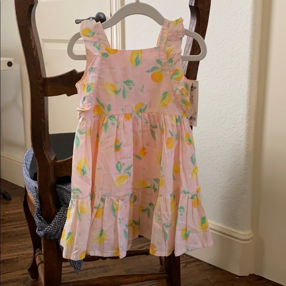 COPY - OshKosh Pink Lemon Dress